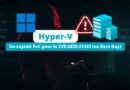 Hyper-V - Un exploit PoC pour la CVE-2025-21333