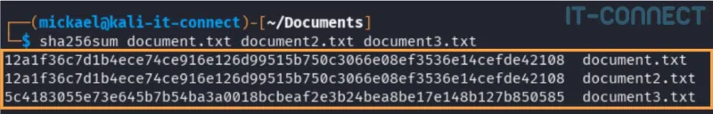 Calcul des empreintes SHA-256 de trois fichiers sous Linux.