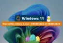 Windows 11 KB5055523 et KB5055528 pour avril 2025