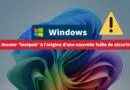 Windows - Le dossier inetpub à l’origine d’une nouvelle faille de sécurité