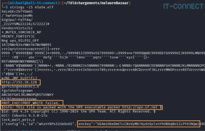 Extrait du résultat de l’exécution de la commande string sur un malware Linux.