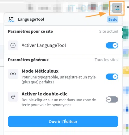 Icône LanguageTool dans la barre du navigateur.