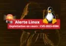 Linux - Exploitation en cours - CVE-2023-0386