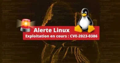 Linux - Exploitation en cours - CVE-2023-0386