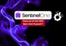 Panne SentinelOne 29 mai 2025