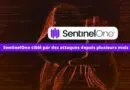 SentinelOne ciblé par des attaques depuis plusieurs mois - 2025