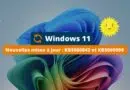 Windows 11 - Nouvelles mises à jour - KB5060842 et KB5060999