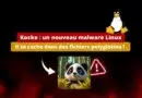Koske - un nouveau malware Linux