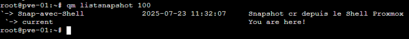 Proxmox-VE-Lister-les-snapshots-dune-VM-