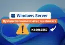 Windows Server 2019 KB5062557 - Bug clusters