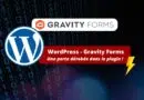 WordPress - Gravity Forms - Attaque chaine d'approvisionnement