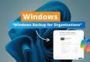 Windows 10 et Windows 11 - Windows Backup for Organizations
