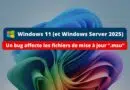 Windows 11 - Bug avec les fichiers de mise à jour MSU