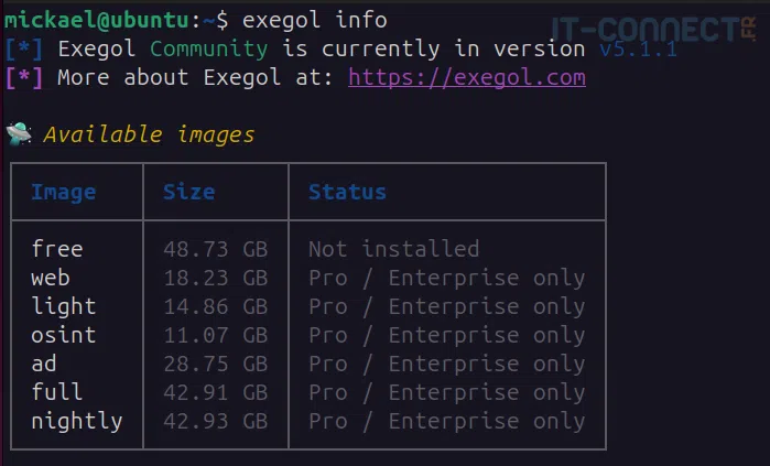 Exécution de la commande exegol info et liste des images téléchargeables.