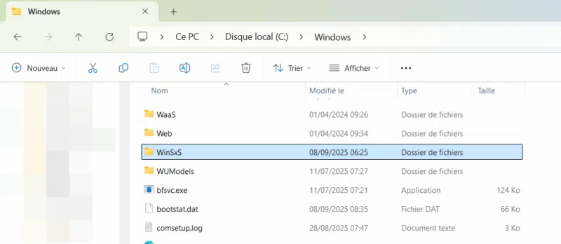 A quoi sert le dossier WinSxS de Windows