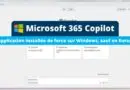 Microsoft 365 Copilot App - Installation octobre 2025