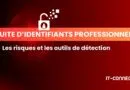 fuite de données professionnels - risques et outils de détection