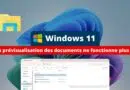 Windows 11 KB5066835 - La prévisualisation des documents ne fonctionne plus