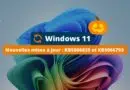 Windows 11 - Mise à jour octobre 2025 - KB5066835 et KB5066793