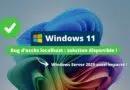 Windows Bug d’accès localhost - solution disponible