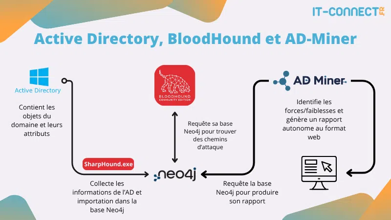 Interactions d'AD-Miner avec BloodHound et sa base Neo4j.