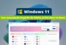 Windows 11 - Une nouveauté inspirée de Ninite arrive dans le Store