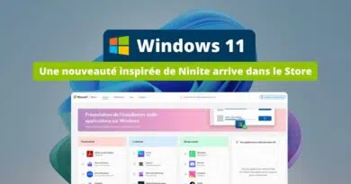 Windows 11 - Une nouveauté inspirée de Ninite arrive dans le Store