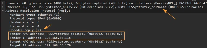 Contenu d'une ARP replu visualisée via Wireshark.
