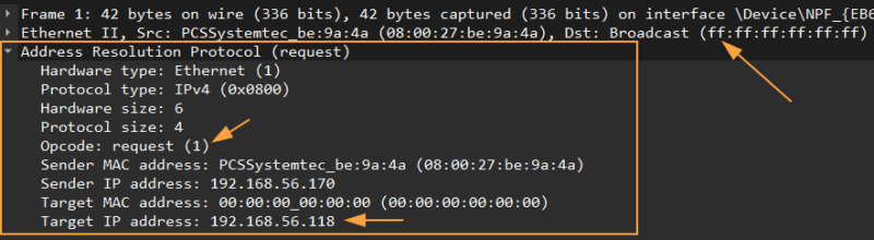 Contenu d'une ARP request visualisée via Wireshark.