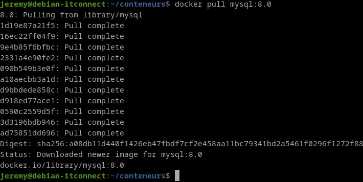 Exemple - Docker pull mysql