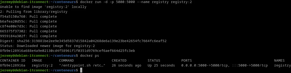 Exécuter un registre Docker privé