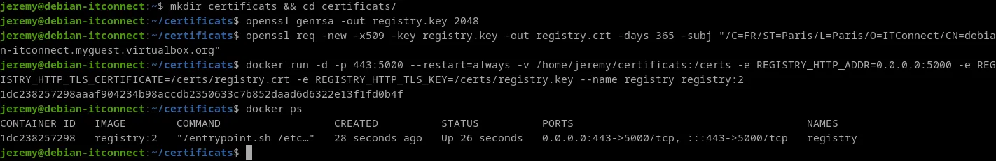 Créer un certificat TLS auto-signé pour le registre docker privé