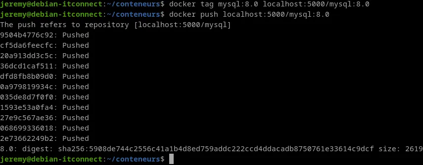 Pousser une image Docker dans le Registre privé
